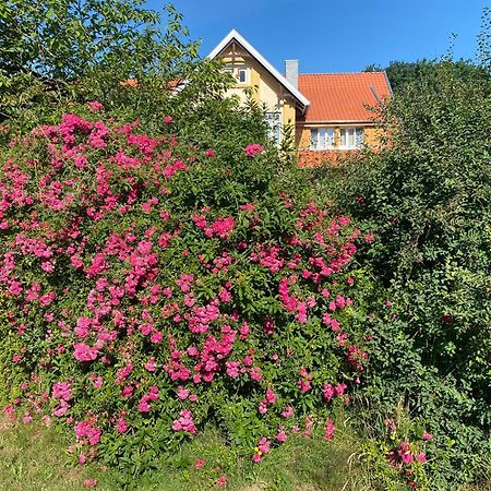Appartamento Neulandhof Spoering Walsrode Esterno foto