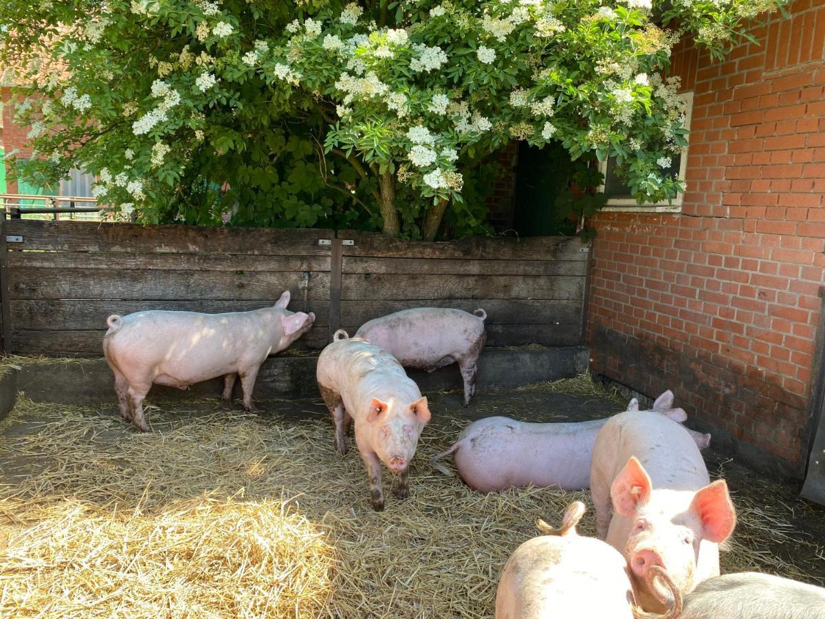 Appartamento Neulandhof Spoering Walsrode Esterno foto