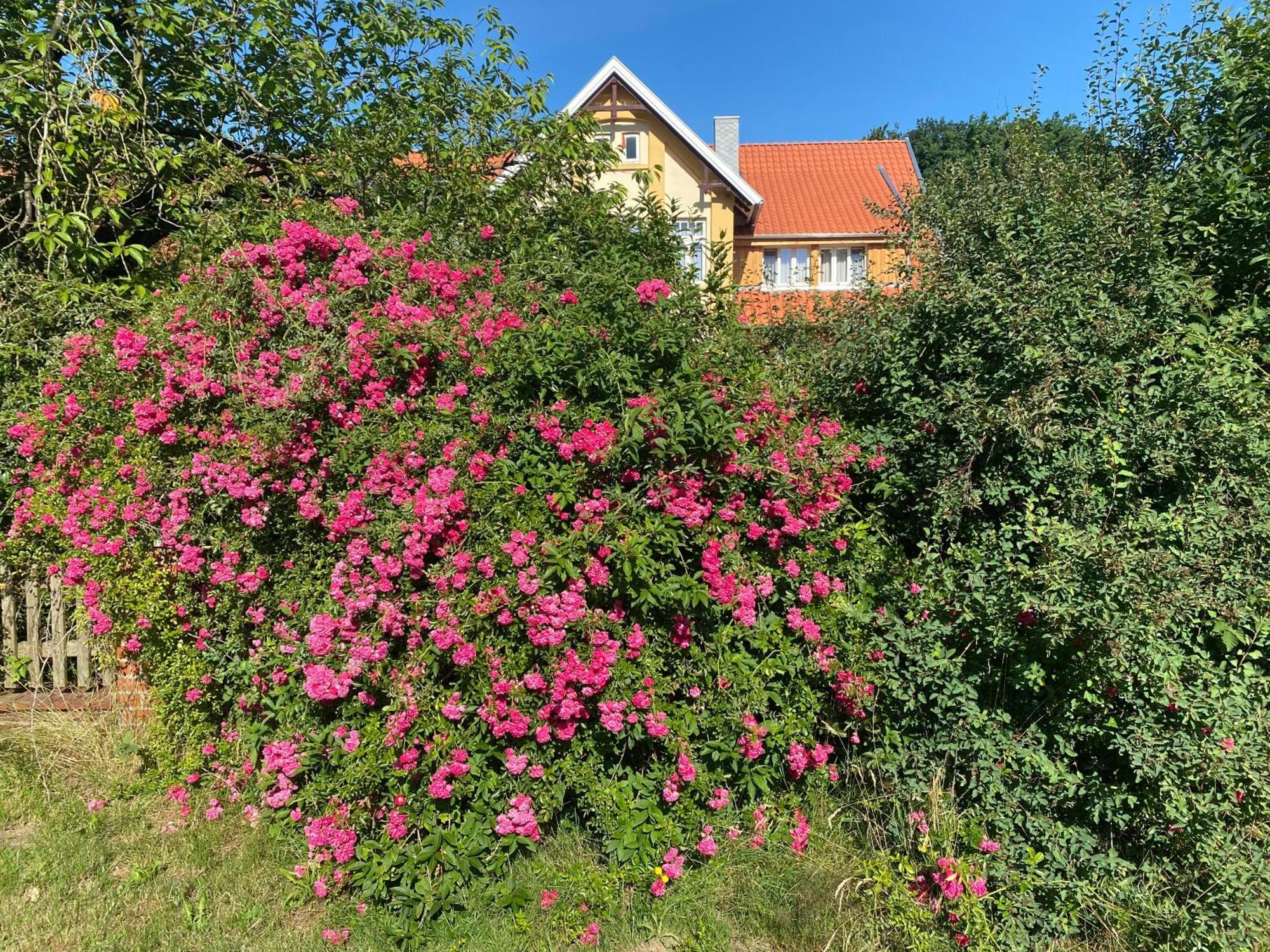 Appartamento Neulandhof Spoering Walsrode Esterno foto